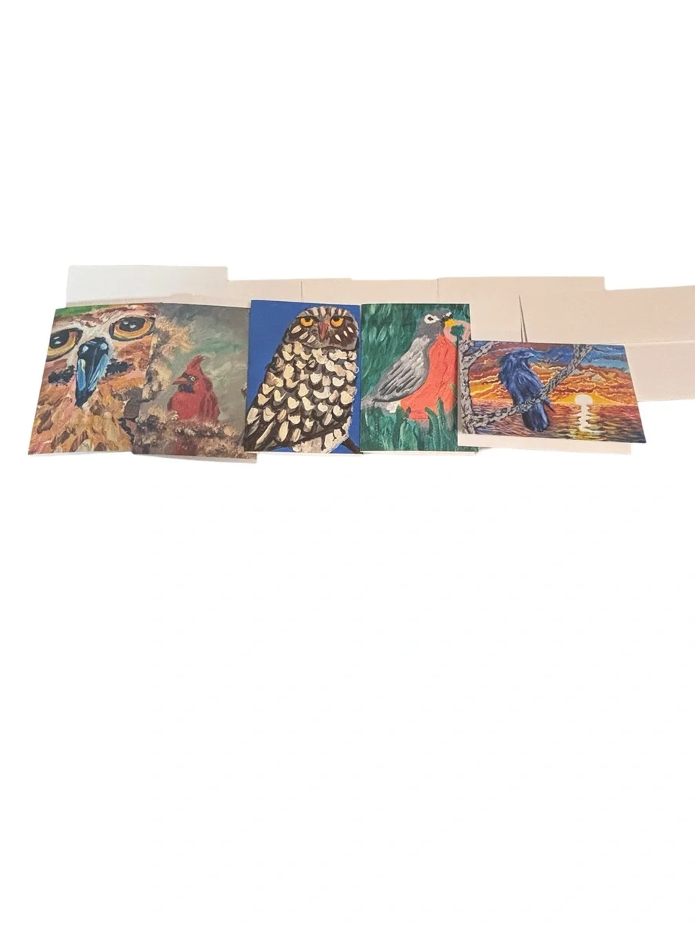 Birds of Wonder Greeting Card Set of 5 by Briefcase Artist